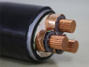 交联聚乙烯绝缘钢带铠装聚氯乙烯护套电力电缆